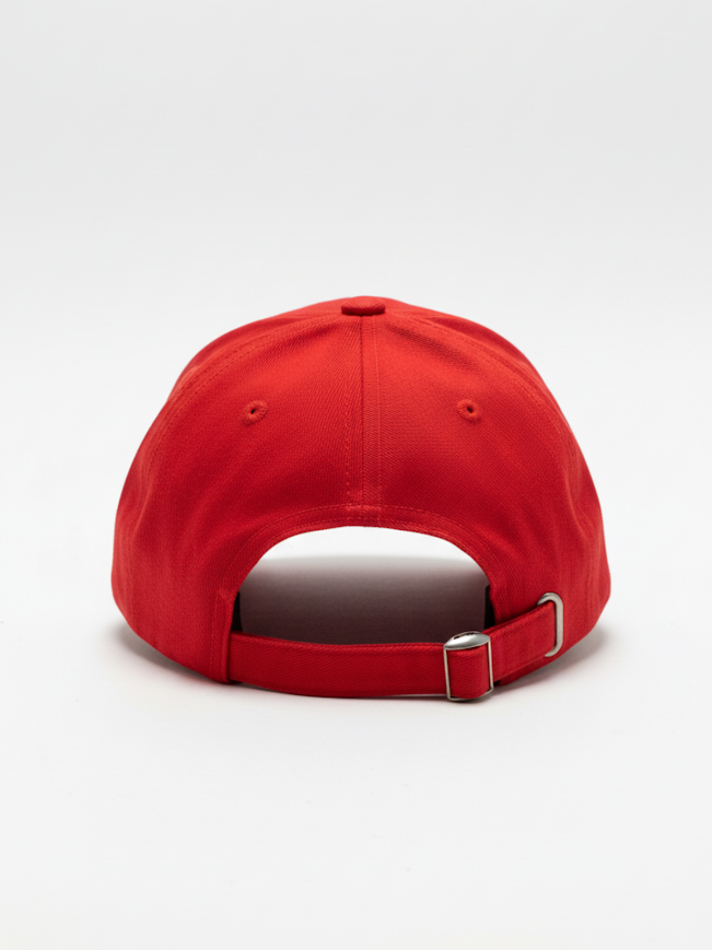 Boné Dad Hat Thanks HipHop