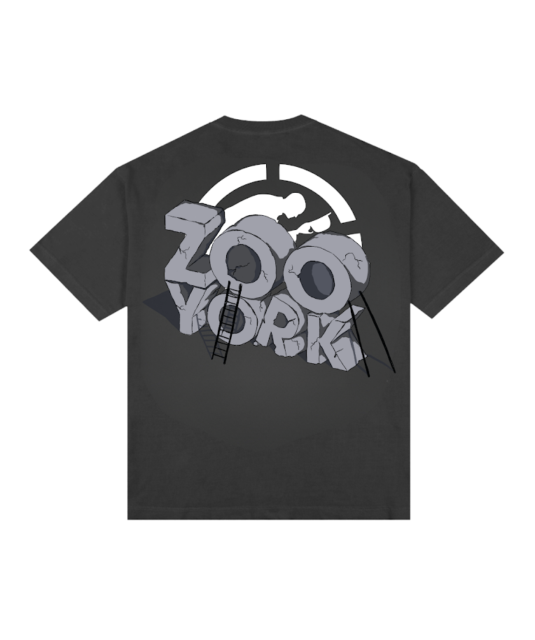 Camiseta Oversized Escultura Zoo York