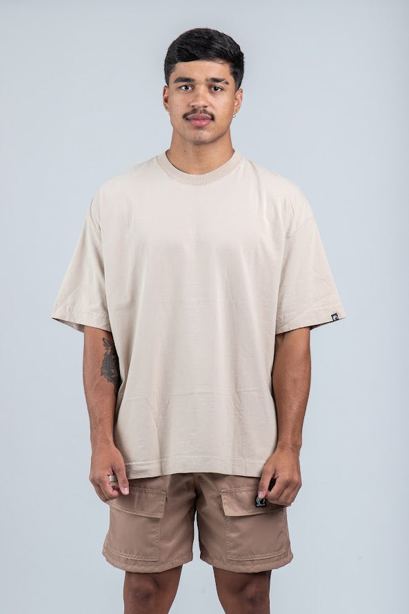 TS01PO-AR-2