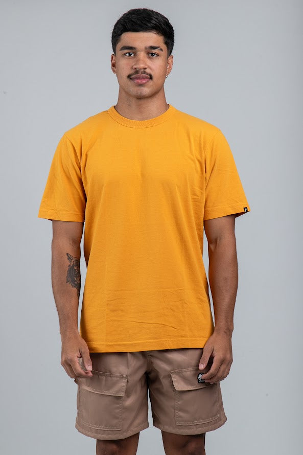 TS01PR-AMMS-2